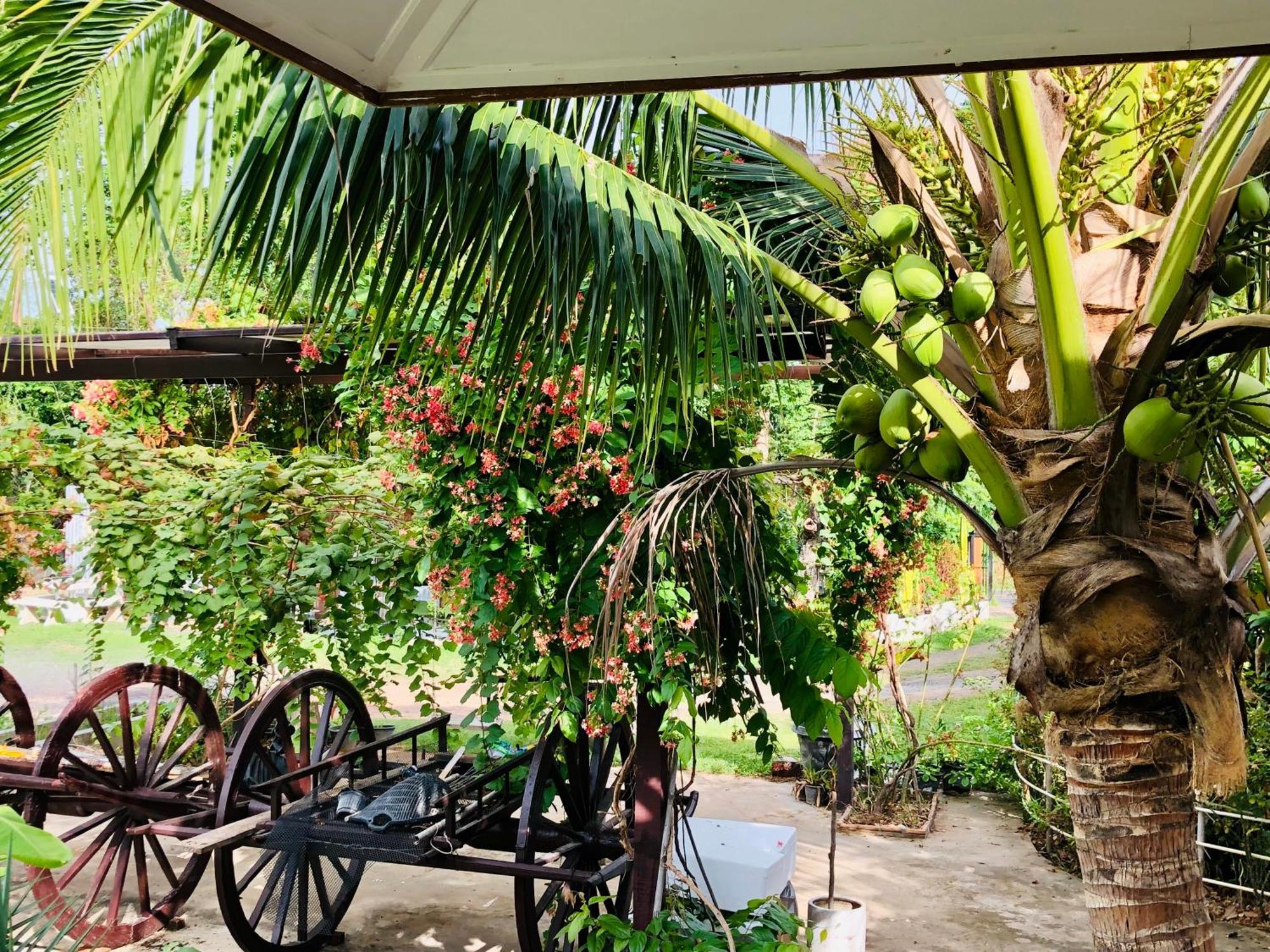 Baan Thung Home Stay Prasat Esterno foto