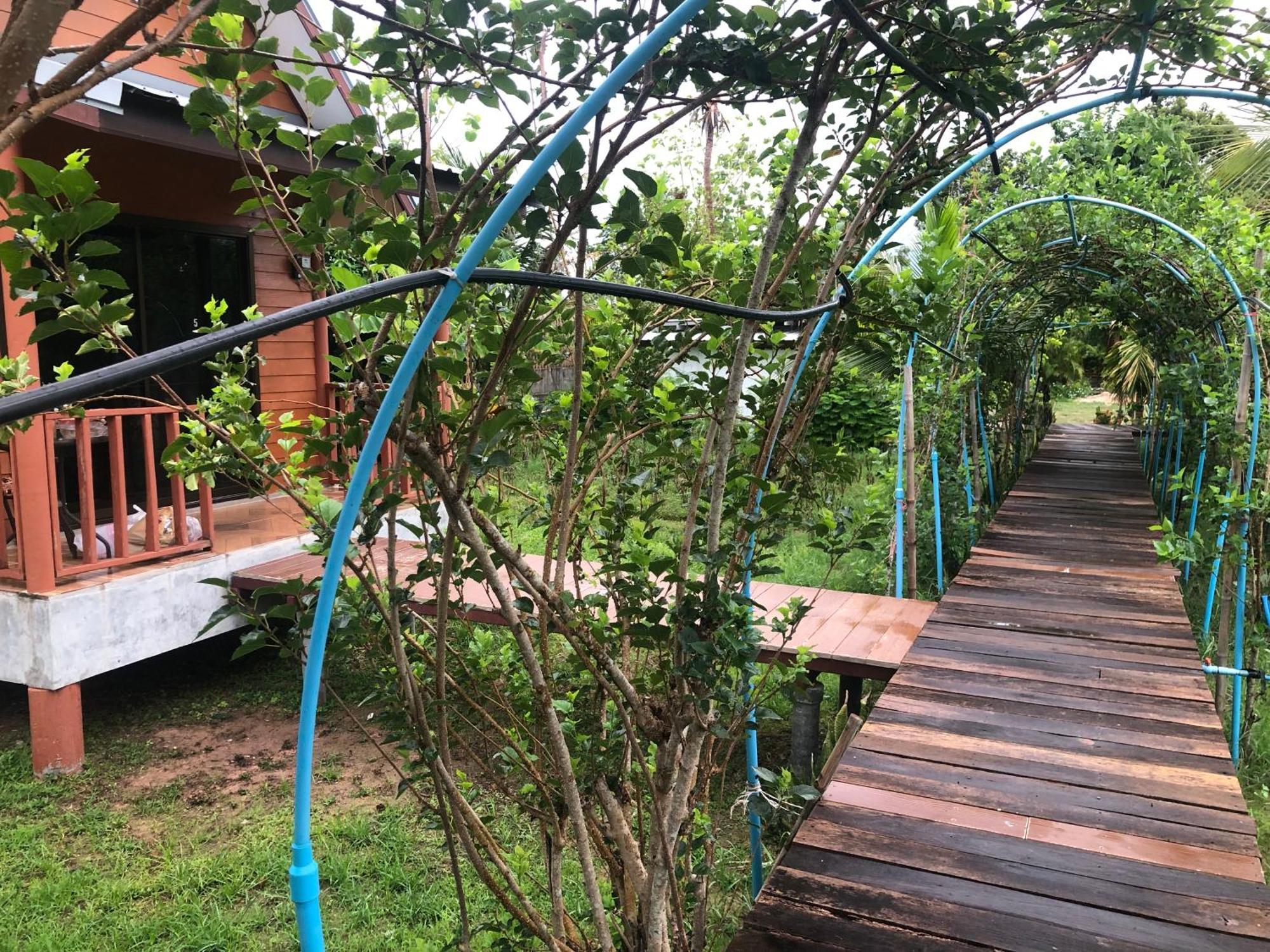 Baan Thung Home Stay Prasat Esterno foto