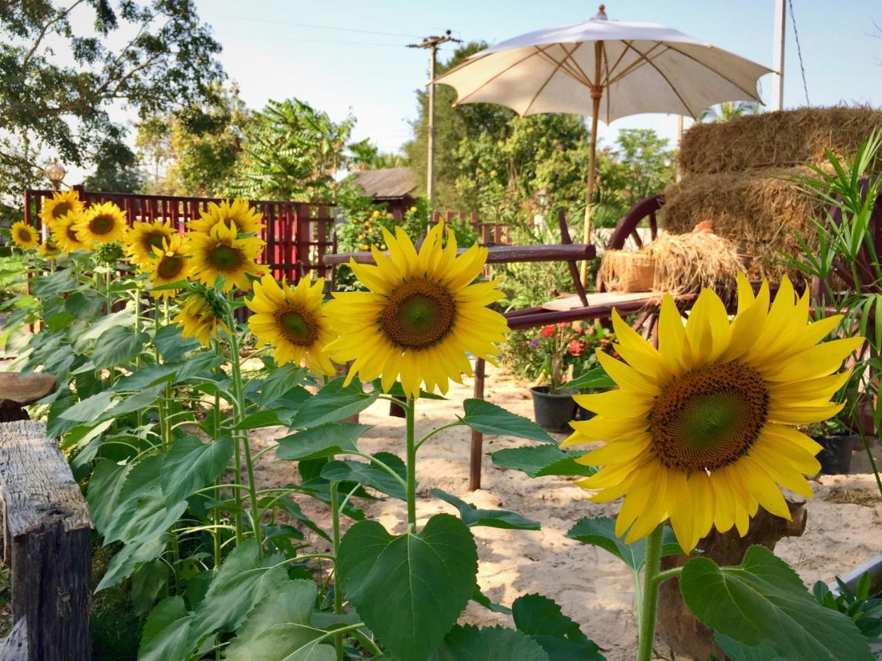 Baan Thung Home Stay Prasat Esterno foto