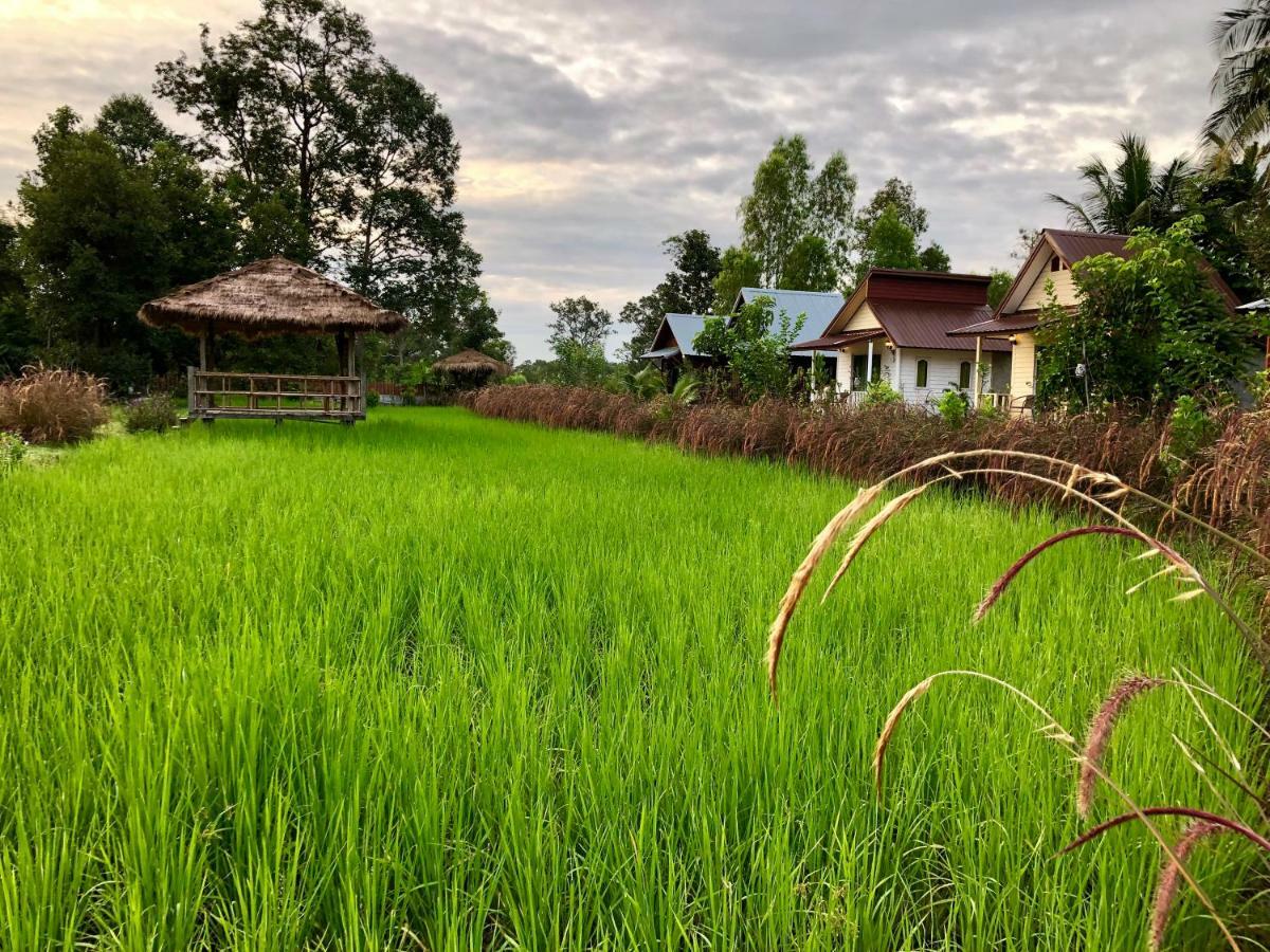 Baan Thung Home Stay Prasat Esterno foto