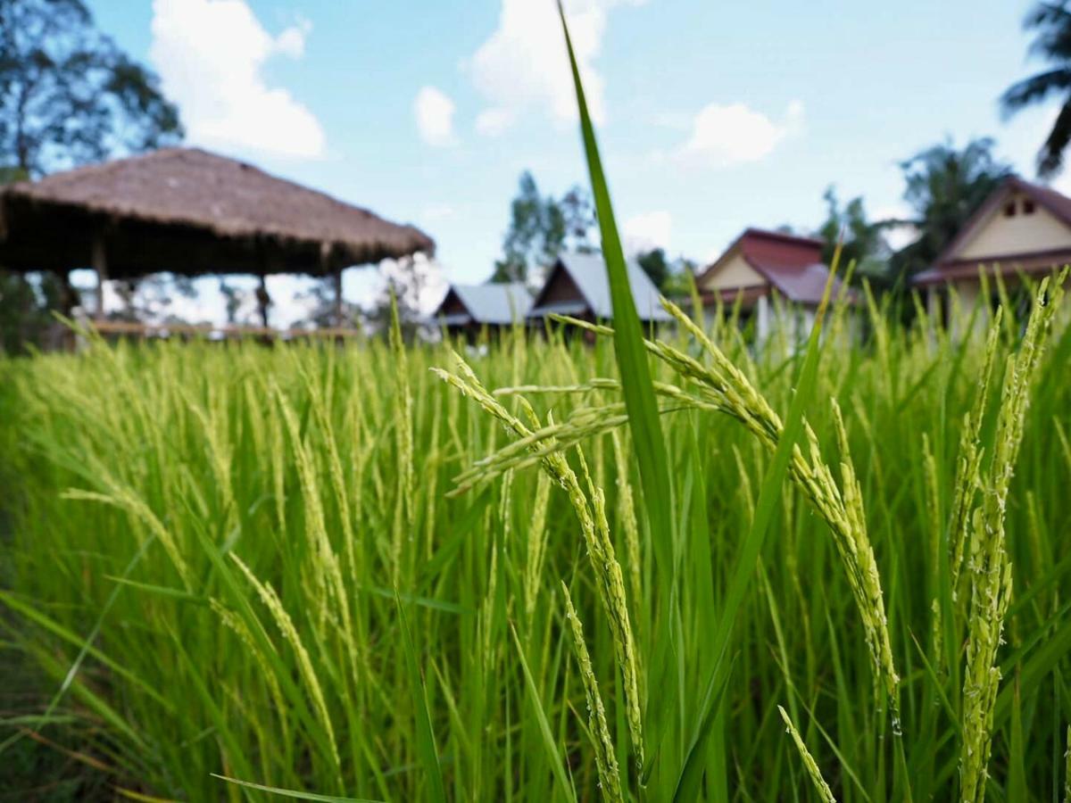 Baan Thung Home Stay Prasat Esterno foto