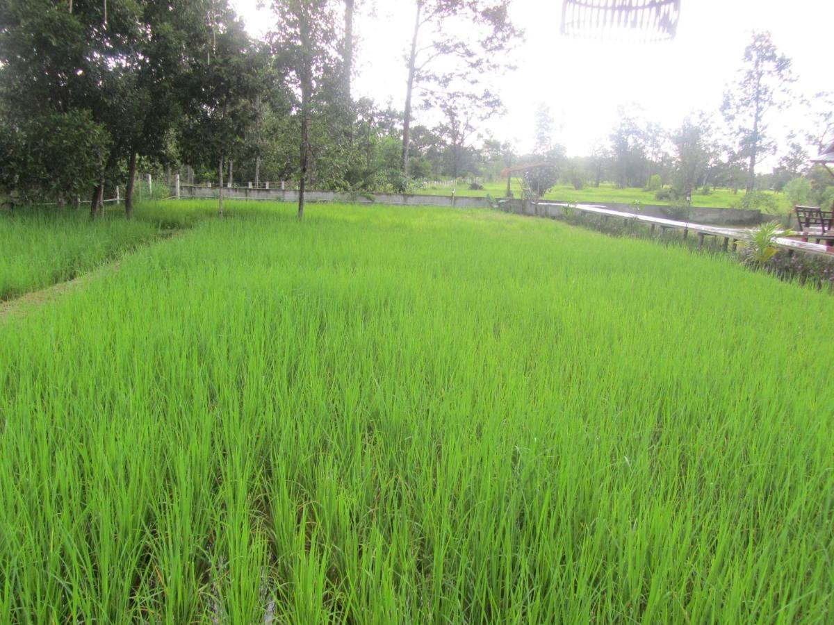 Baan Thung Home Stay Prasat Esterno foto